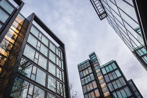 For Businesses & Organisations