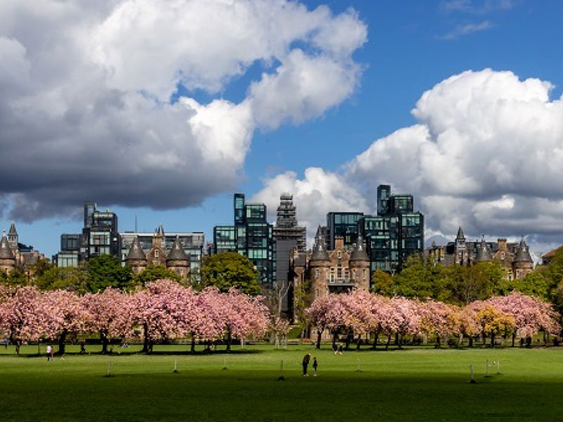 Quartermile From Meadows